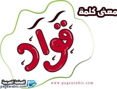 معنى كلمة قواد باللهجة السعودية 1