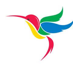 جوجل Hummingbird Algorithm جوجل Hummingbird Algorithm
