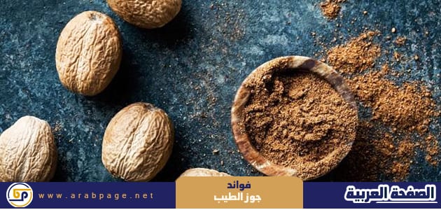 فوائد جوز الطيب ماهو جوز الطيب بالصور فوائد جوز الطيب ماهو جوز الطيب بالصور