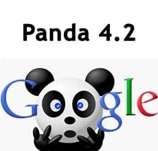 [Google Panda 4.2] تحديث جوجل باندا 4.2 بشكل بطيء جداً 4