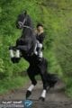 صور خلفيات بنات راكبات الخيل 2021 3 صور بنات راكبة الخيل