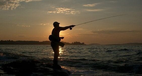 تفسير حلم صيد السمك وماهو تفسير رؤية السمك والصيد في المنام