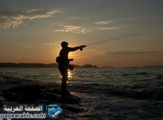 تفسير حلم صيد السمك وماهو تفسير رؤية السمك والصيد في المنام