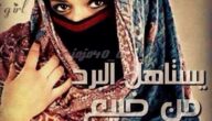 قصص بنات اليمن : قصة حمودة والكلاب في رمضان قصص مضحكة