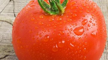 فوائد الطماطم العامة