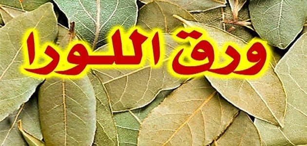 فوائد ورق اللورا