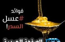 اسعار العسل اليمني في السعودية اجود انواع العسل