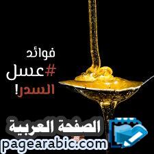 أسعار العسل اليمني الأصلي افضل انواع العسل اليمني 2023