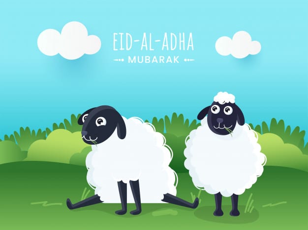 خروف العيد sheep رمزيات عيد الاضحى 202050