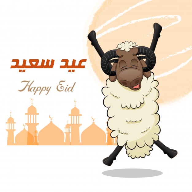 خروف العيد sheep رمزيات عيد الاضحى 2020588