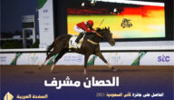 صور الحصان مشرف لـ الأمير عبدالرحمن بن عبدالله الفيصل
