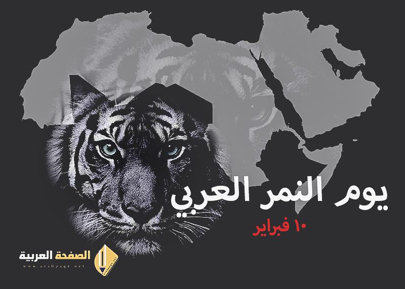 ماهو يوم النمر العربي ومتى موعده Arab Tiger Day 5