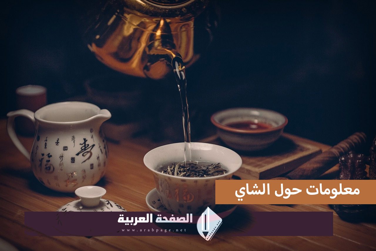 اليوم العالمي للشاي معلومات عن الشاي تعرف على الشاي الاخضر الأسود الأحمر 5
