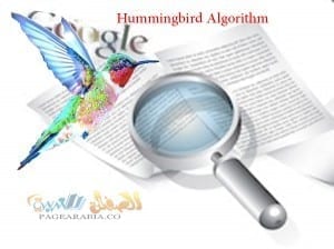 الخروج من قوقل الطنان الرنان Hummingbird Algorithm الخروج من قوقل الطنان الرنان Hummingbird Algorithm